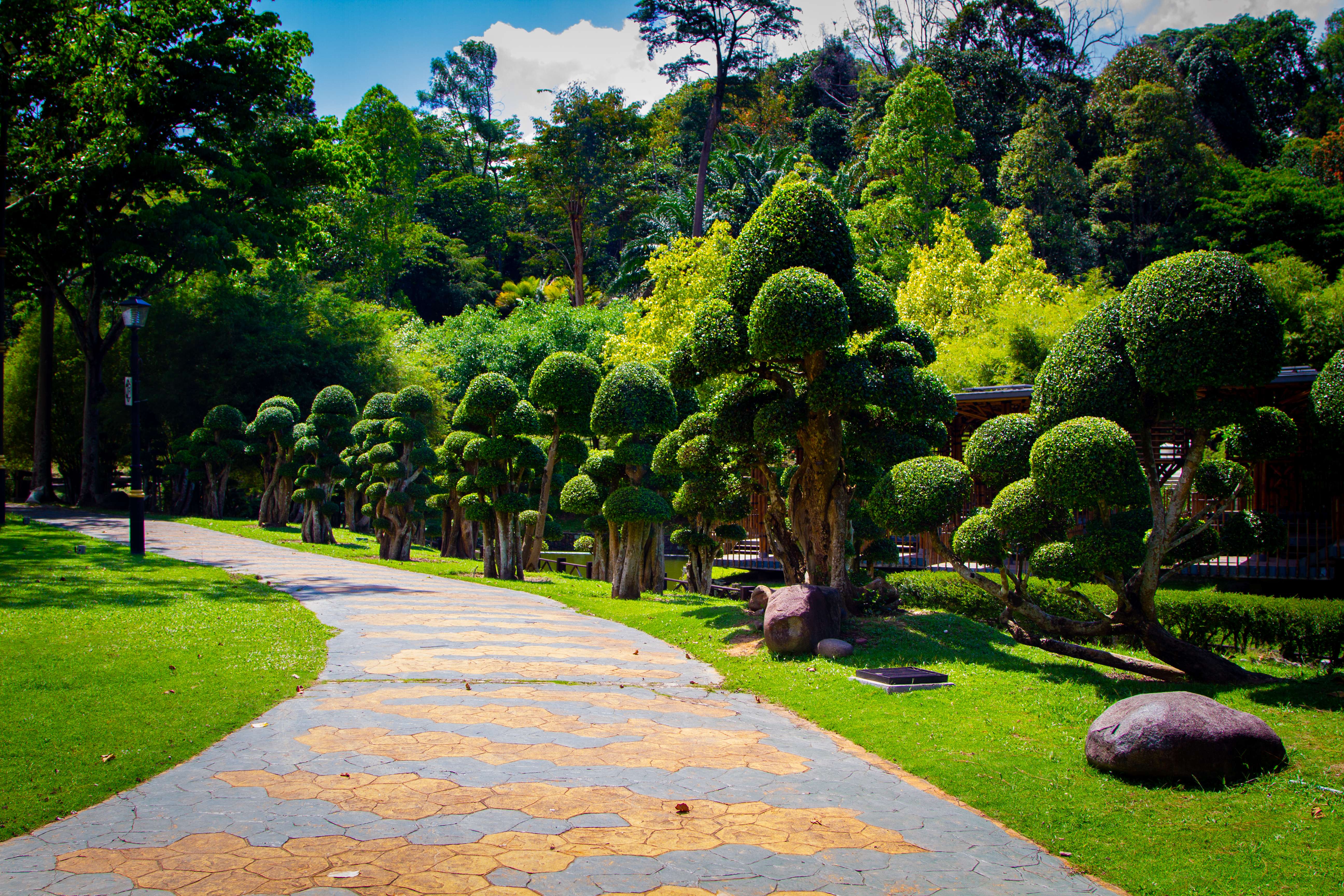 Visit the Botanical Garden