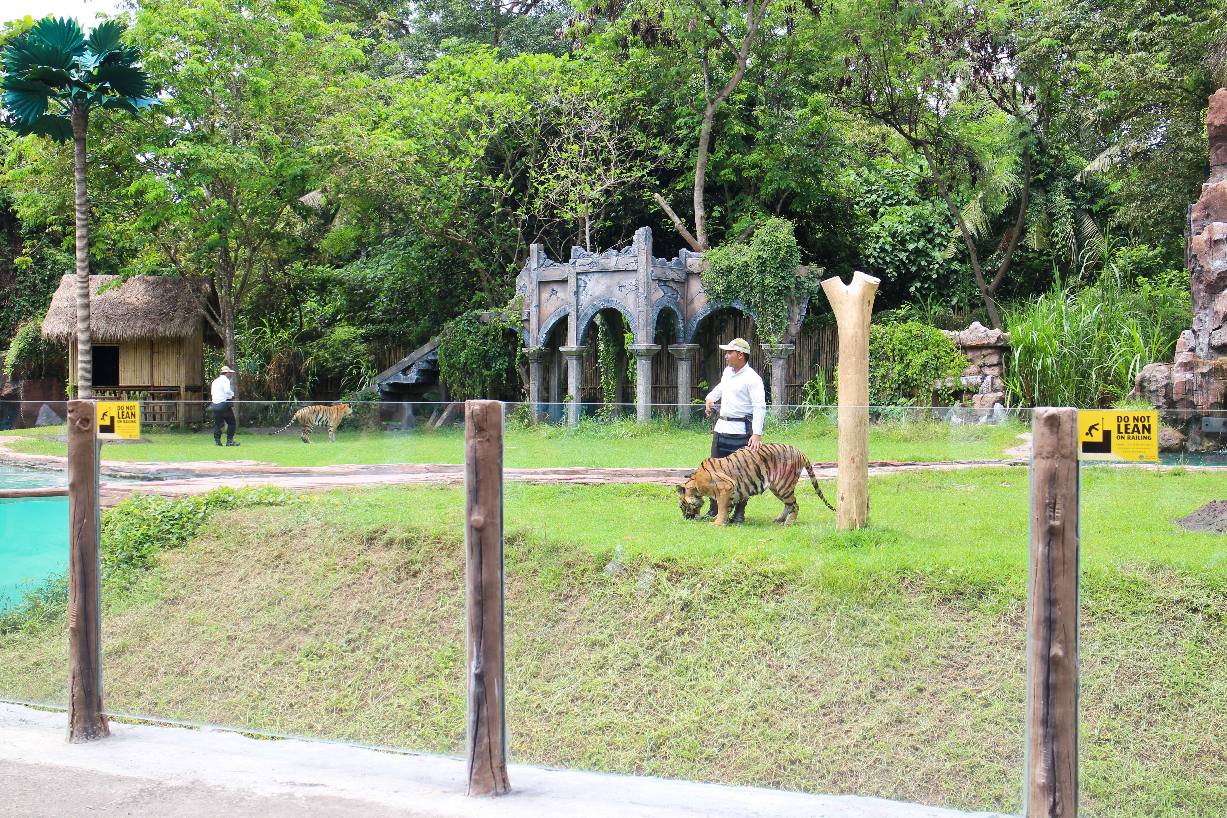 Bali Safari & Marine Park