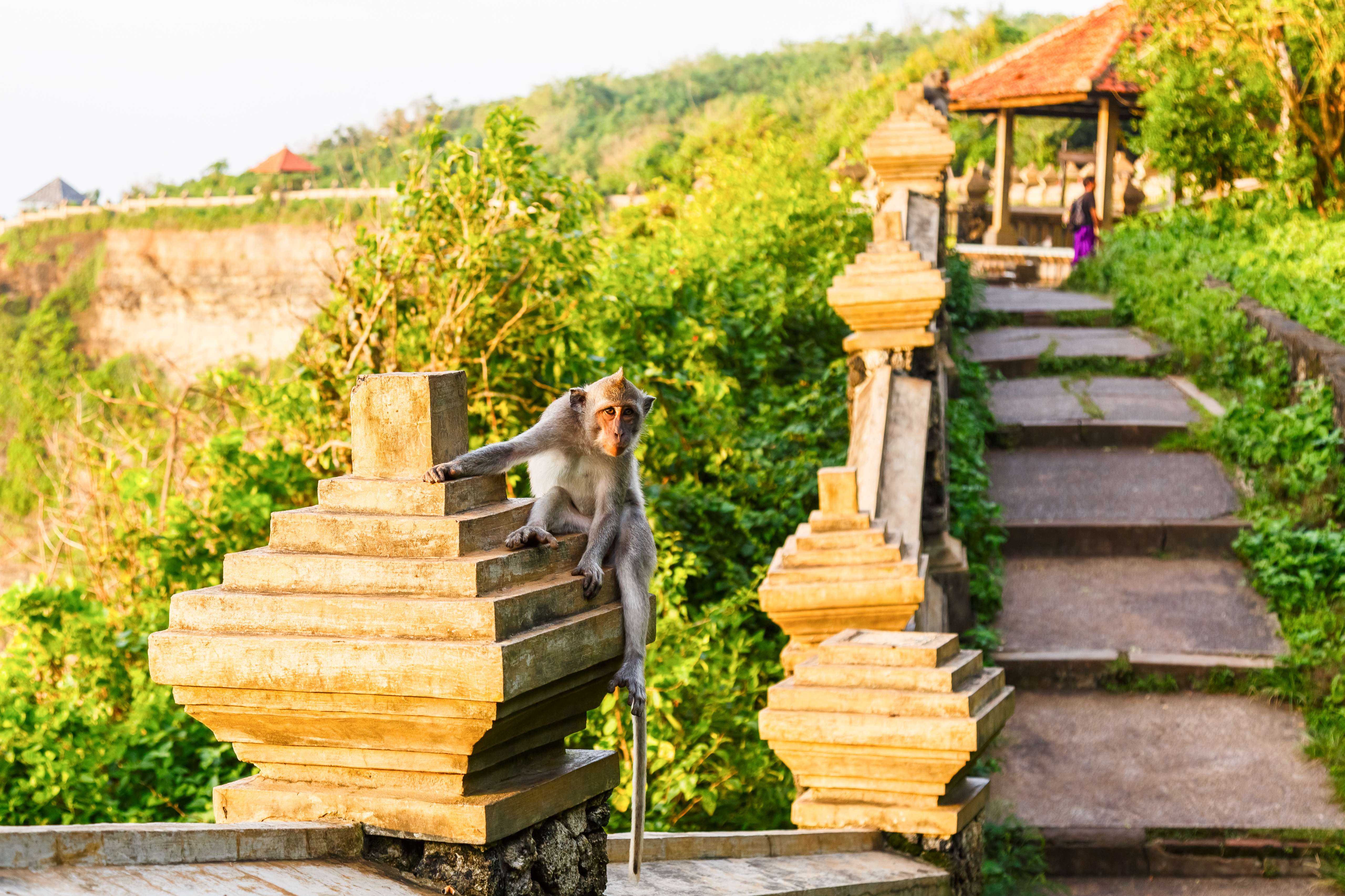 Uluwatu Monkey Forest