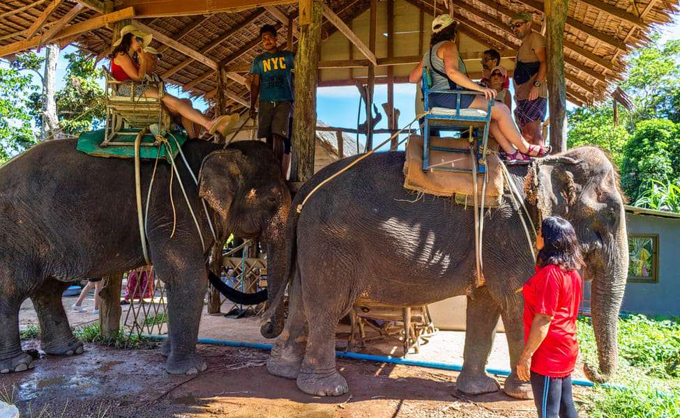 Play with Elephants at the Krabi Elephant Sanctuary
