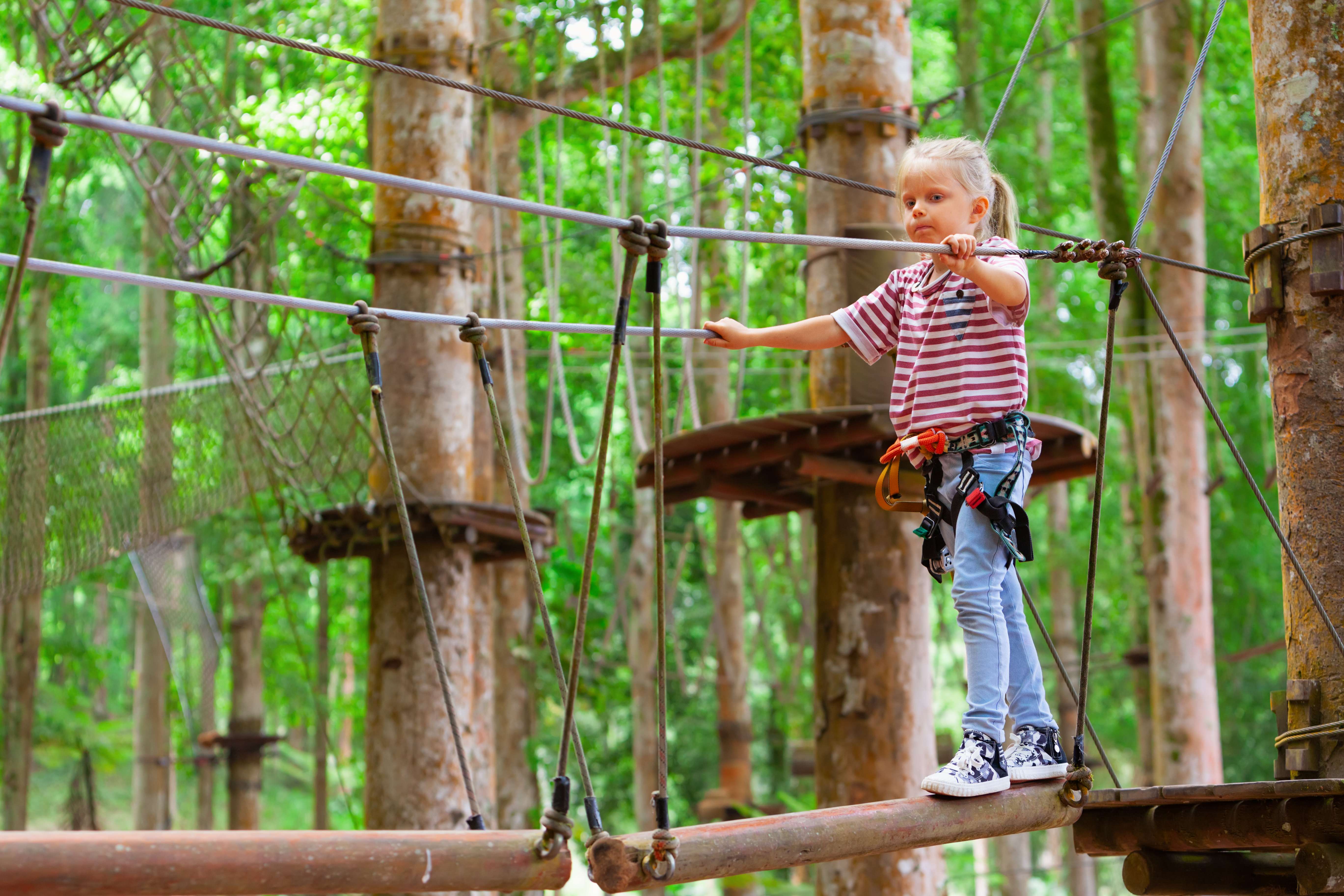 Have Some Fun at Bali Treetop Adventure Park