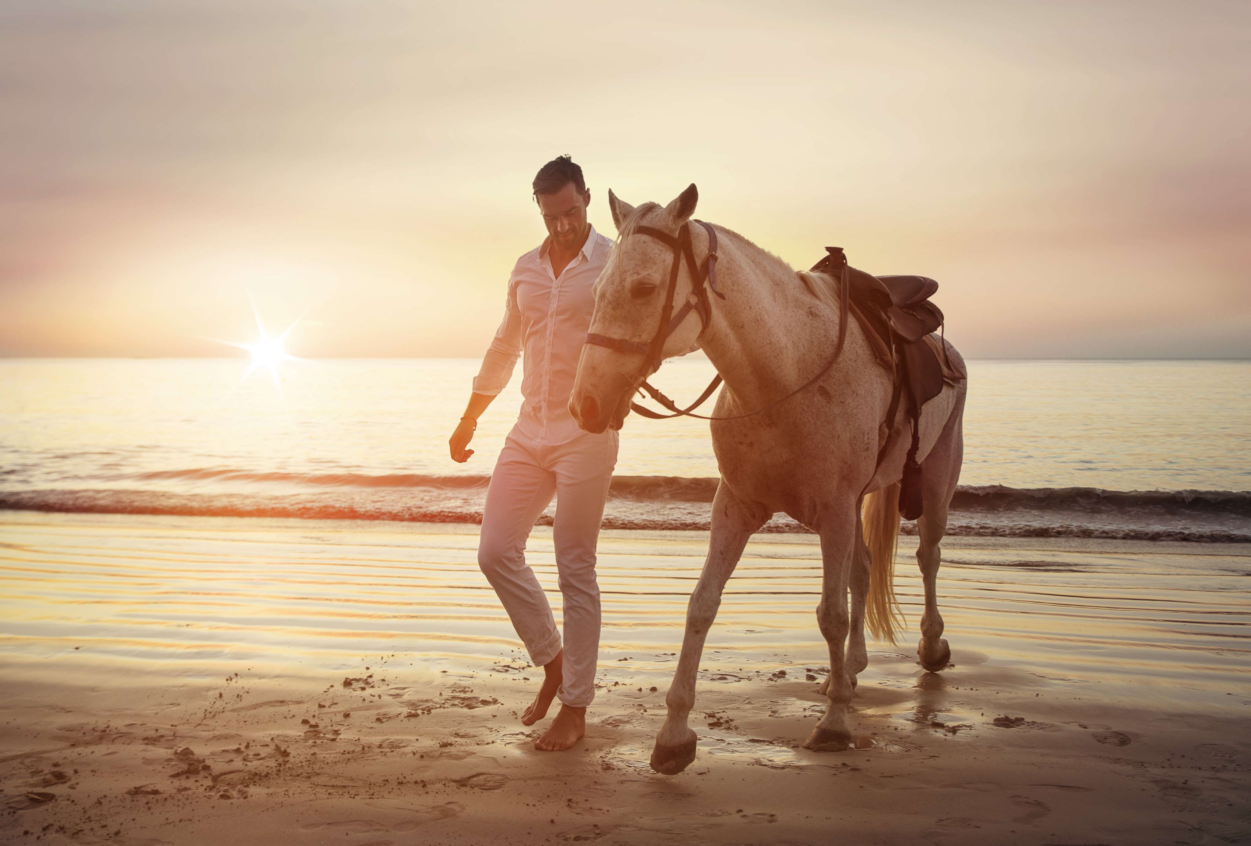 Romantic Ride By Horseback At Bali Equestrian Centre