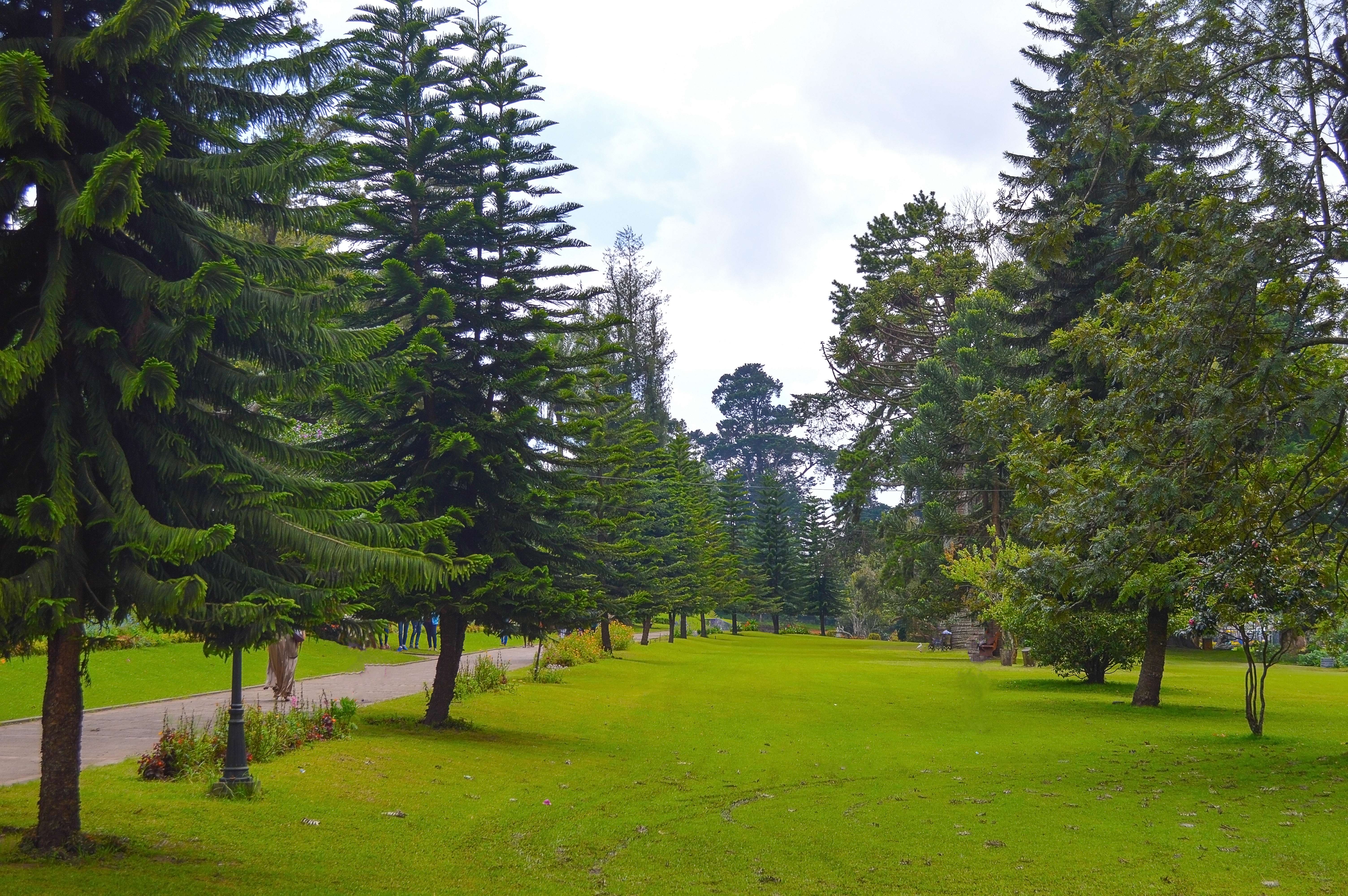 Relax at Victoria Park