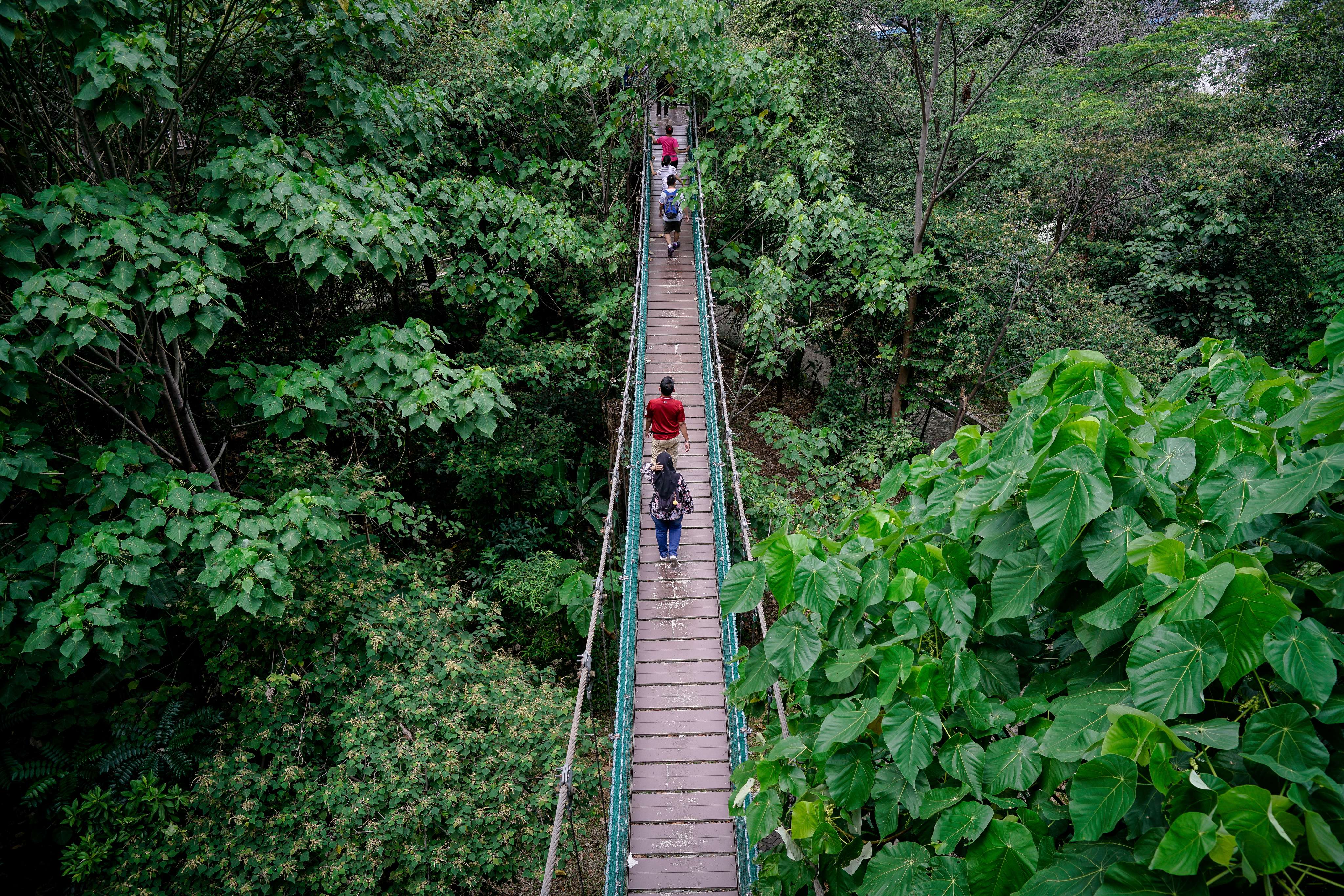 Wander Through KL Forest Eco Park