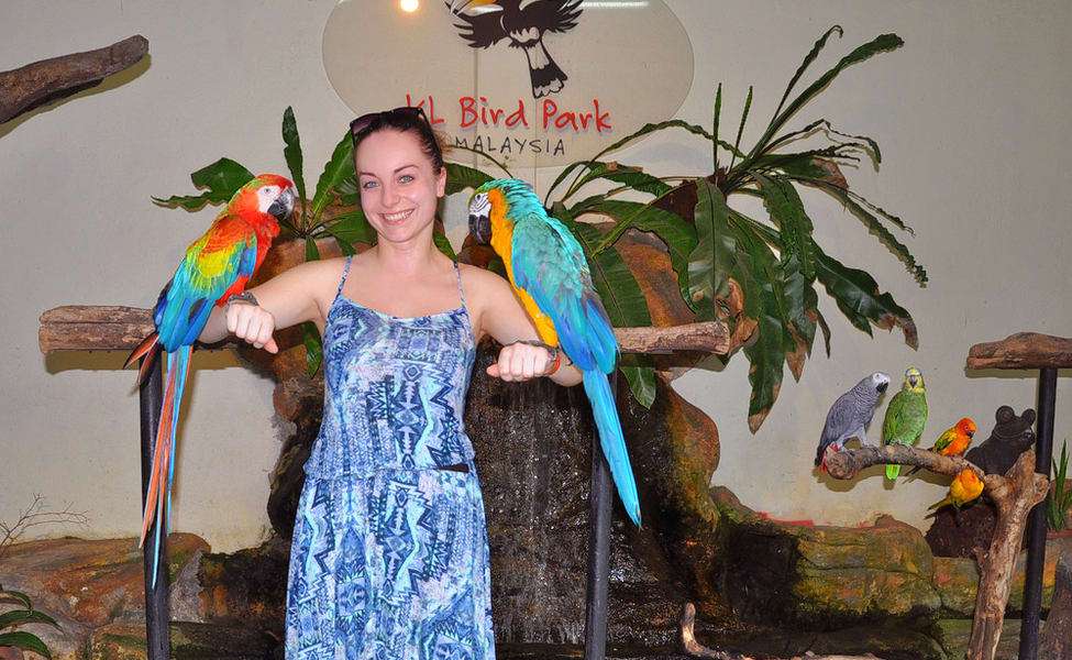 Visit the Kuala Lumpur, Bird Park