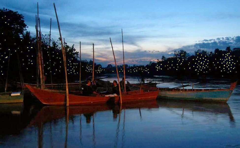 Fireflies Night Boat Ride on Selangor River