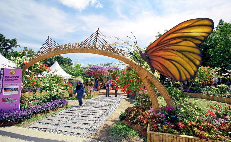 Gaze at the Beauty of Kuala Lumpur Butterfly Park