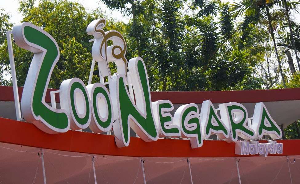 Explore the Wilderness at Negara Zoo Malaysia