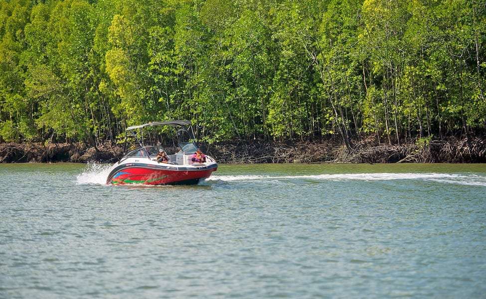 Take a Mangrove Tour of Kilim Geopark 