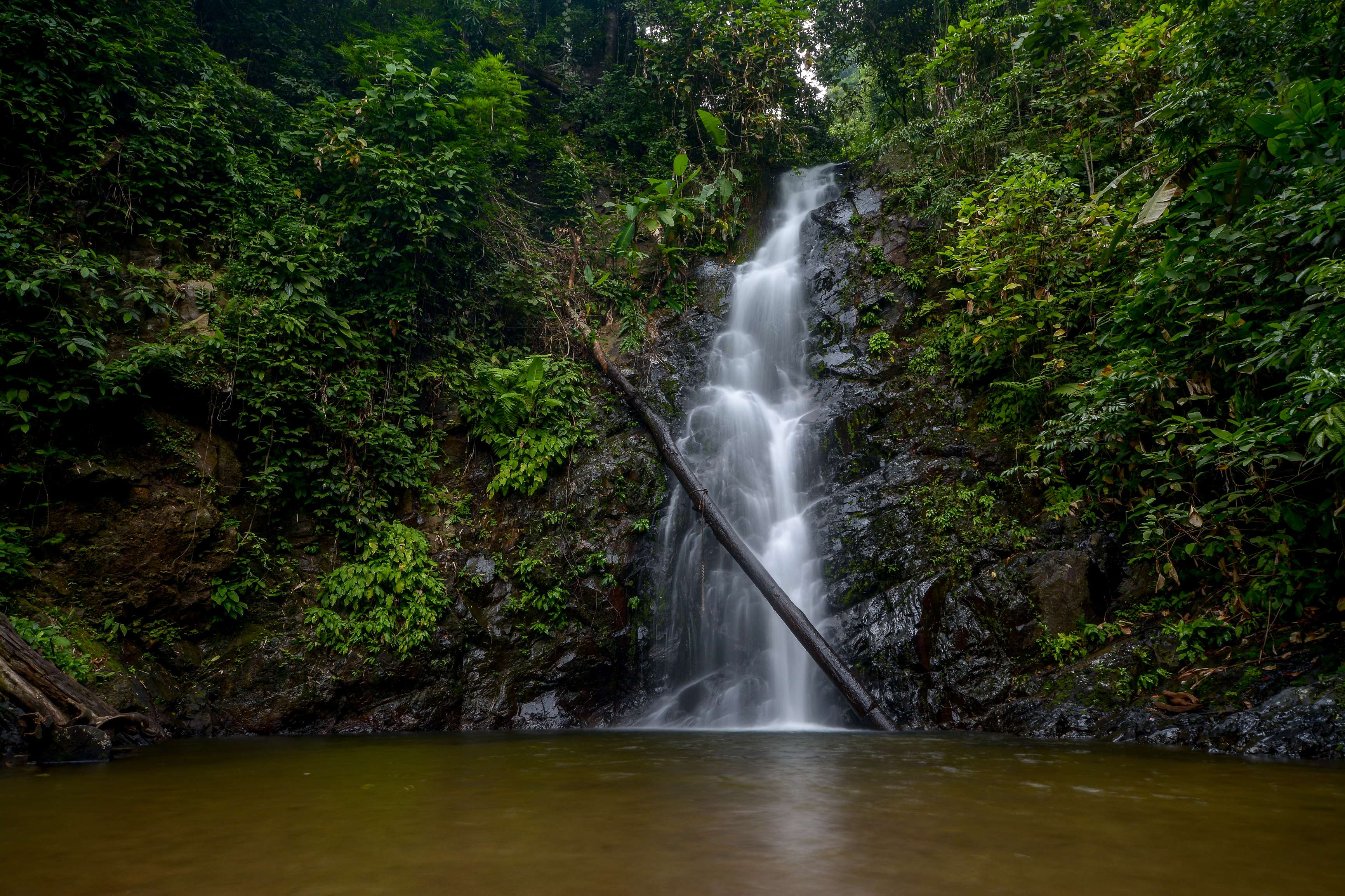 Hike to Durian Perangin
