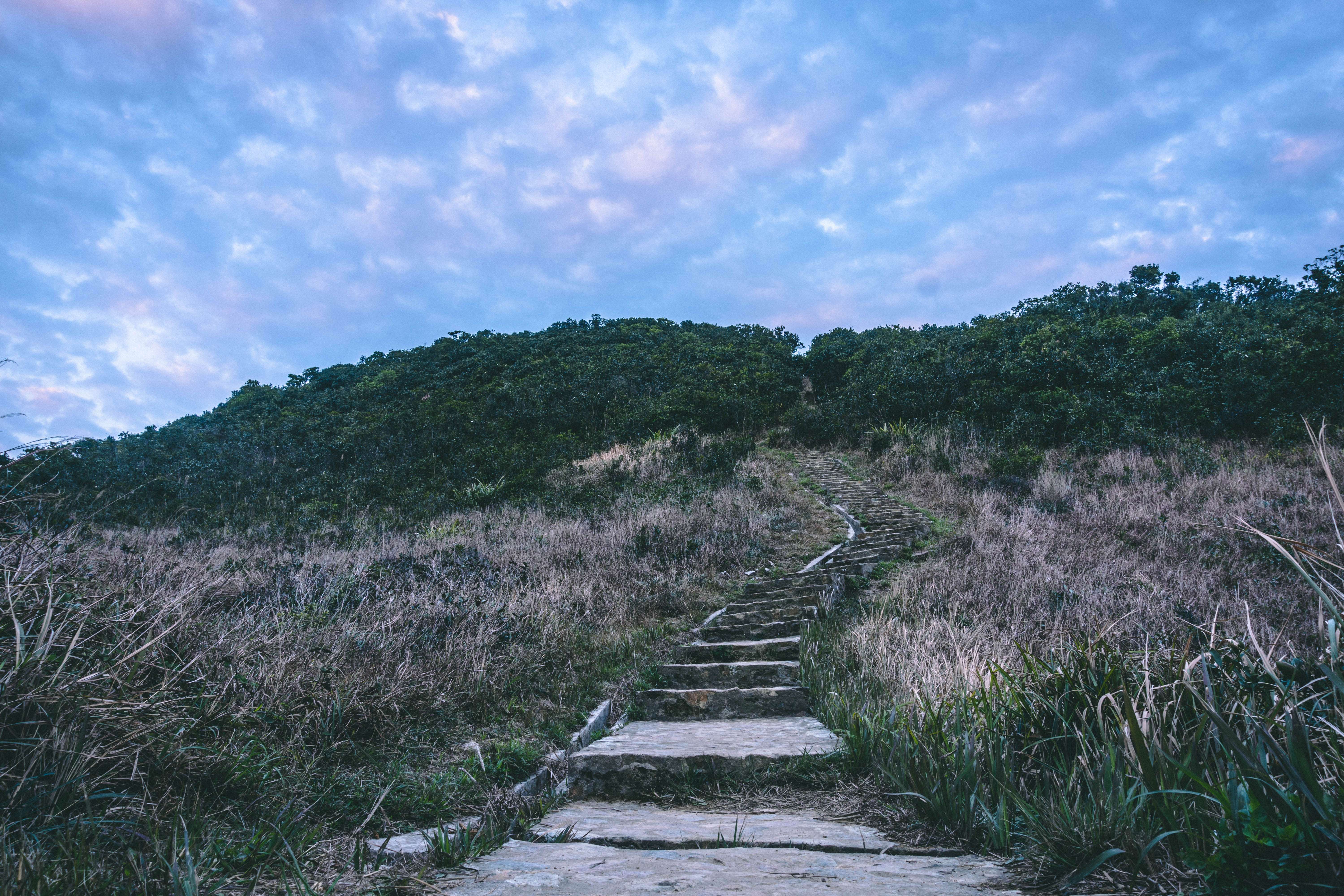 Violet Hill & Twin Peak