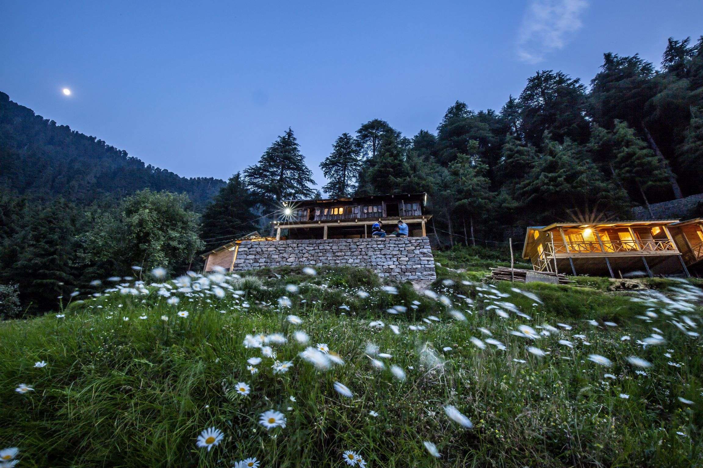 Mid Conifer Resort & Cottages