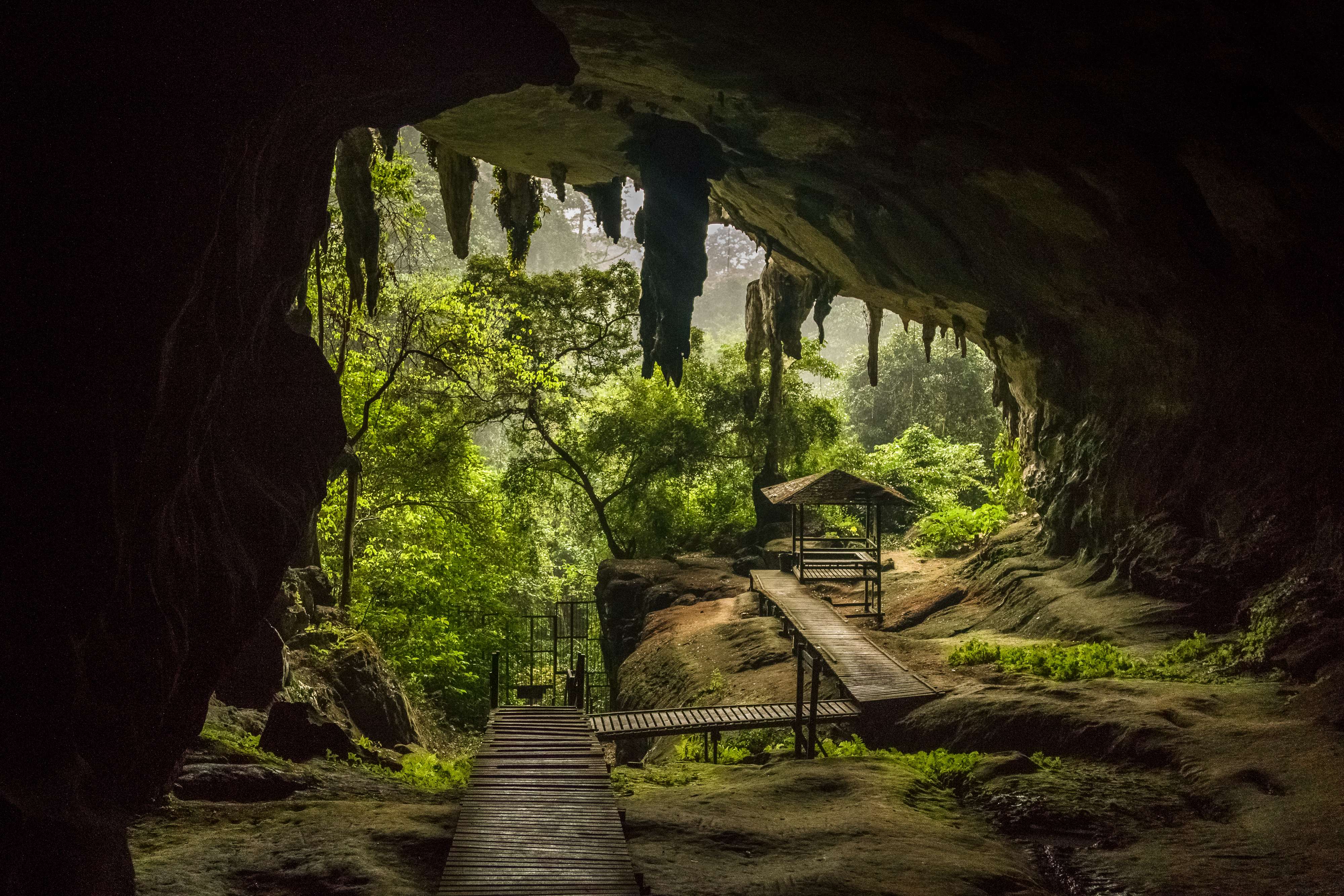 Visit the Niah Caves in Sarawak