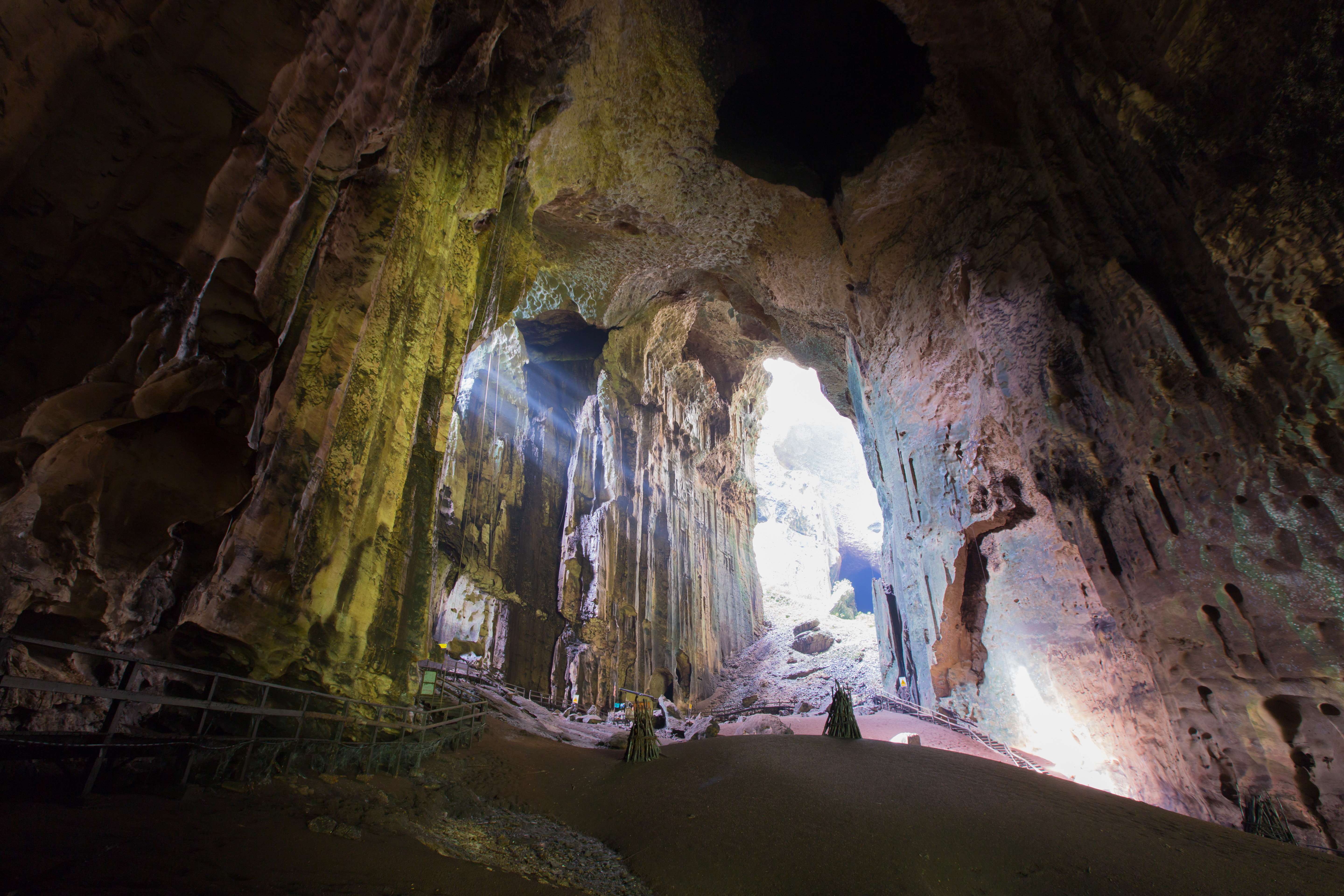 See Gomantong Caves