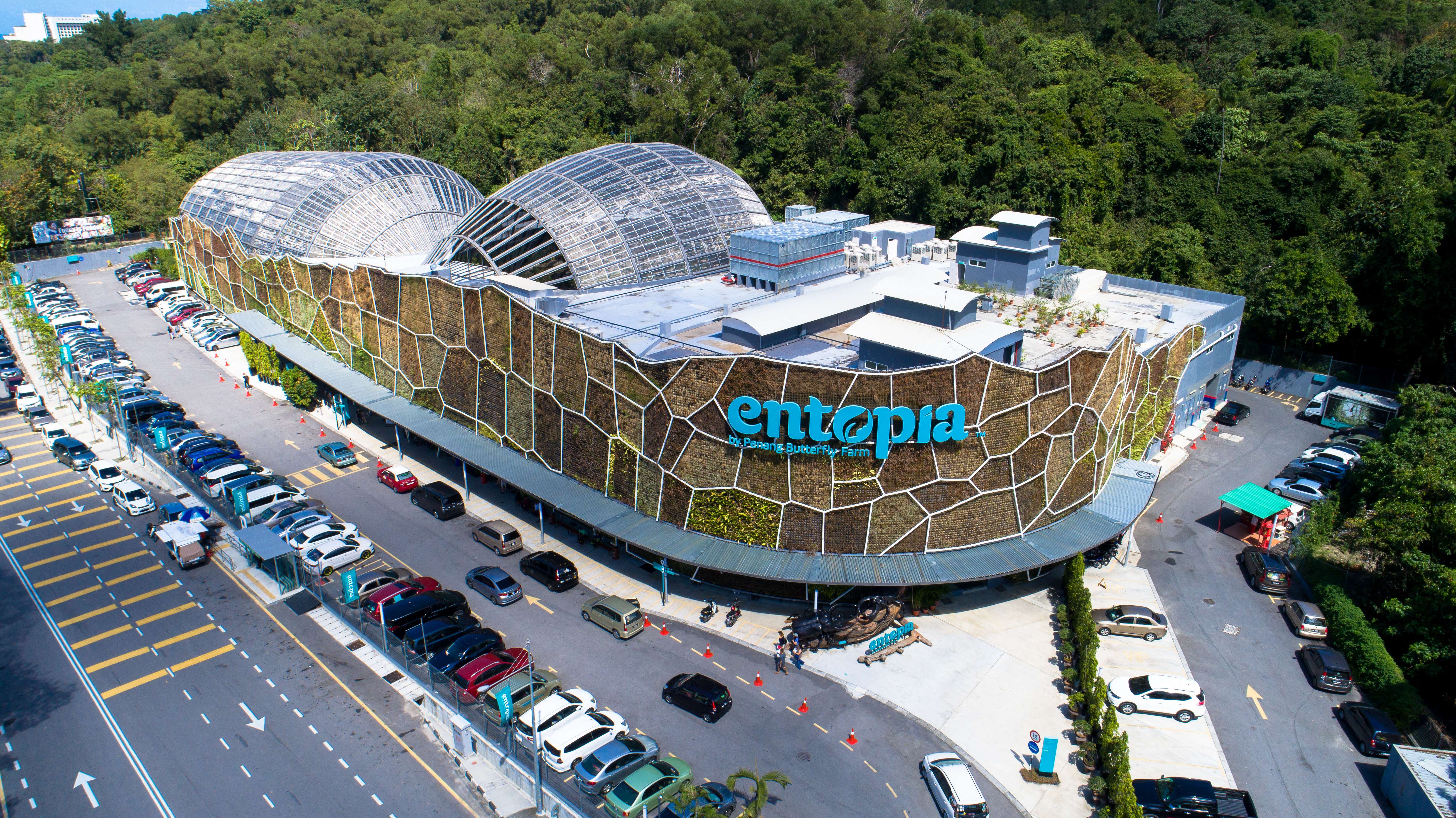 Visit Entopia