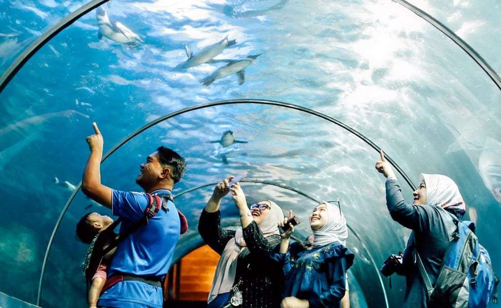 Langkawi Underwater World