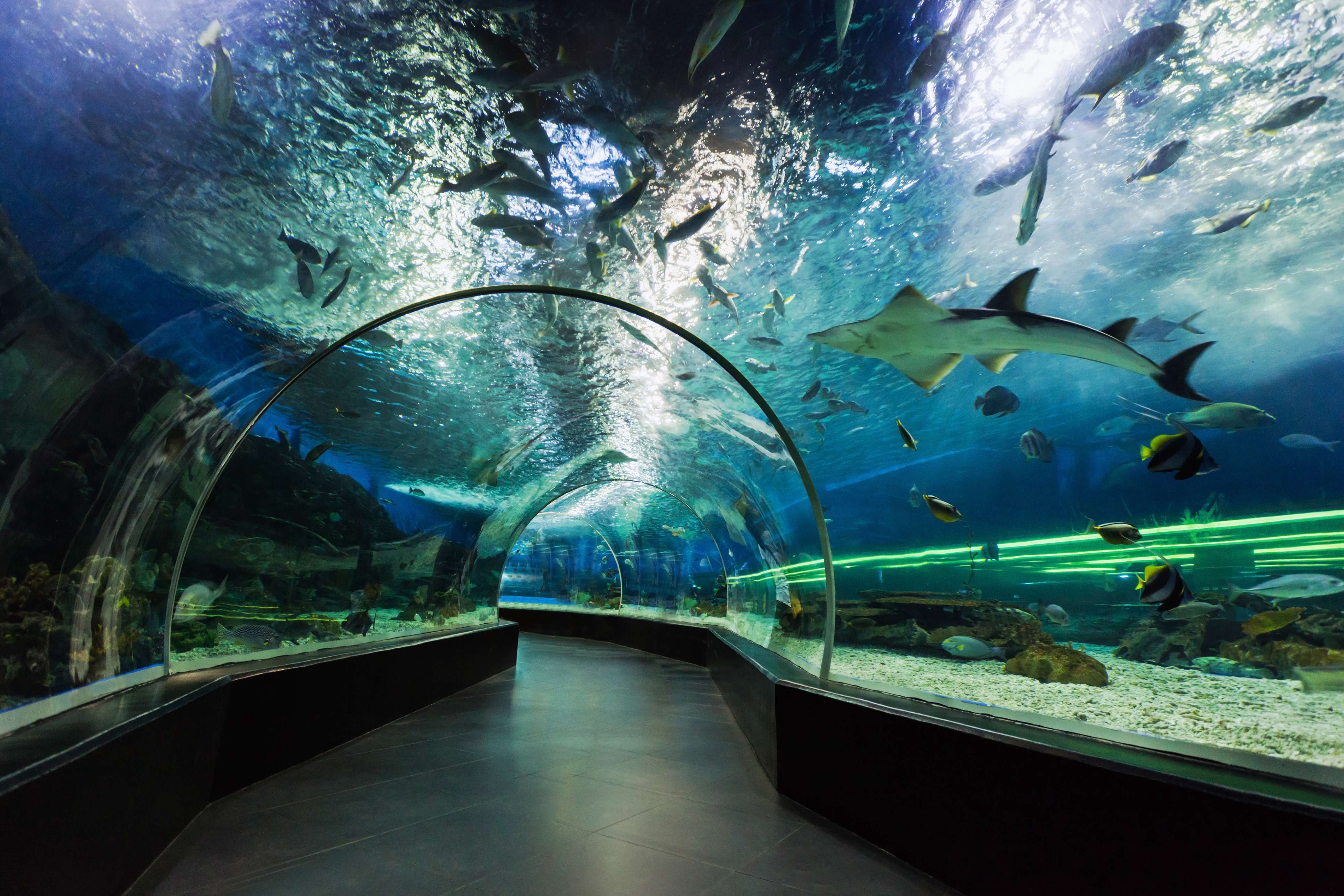 Visit Grand Aquarium