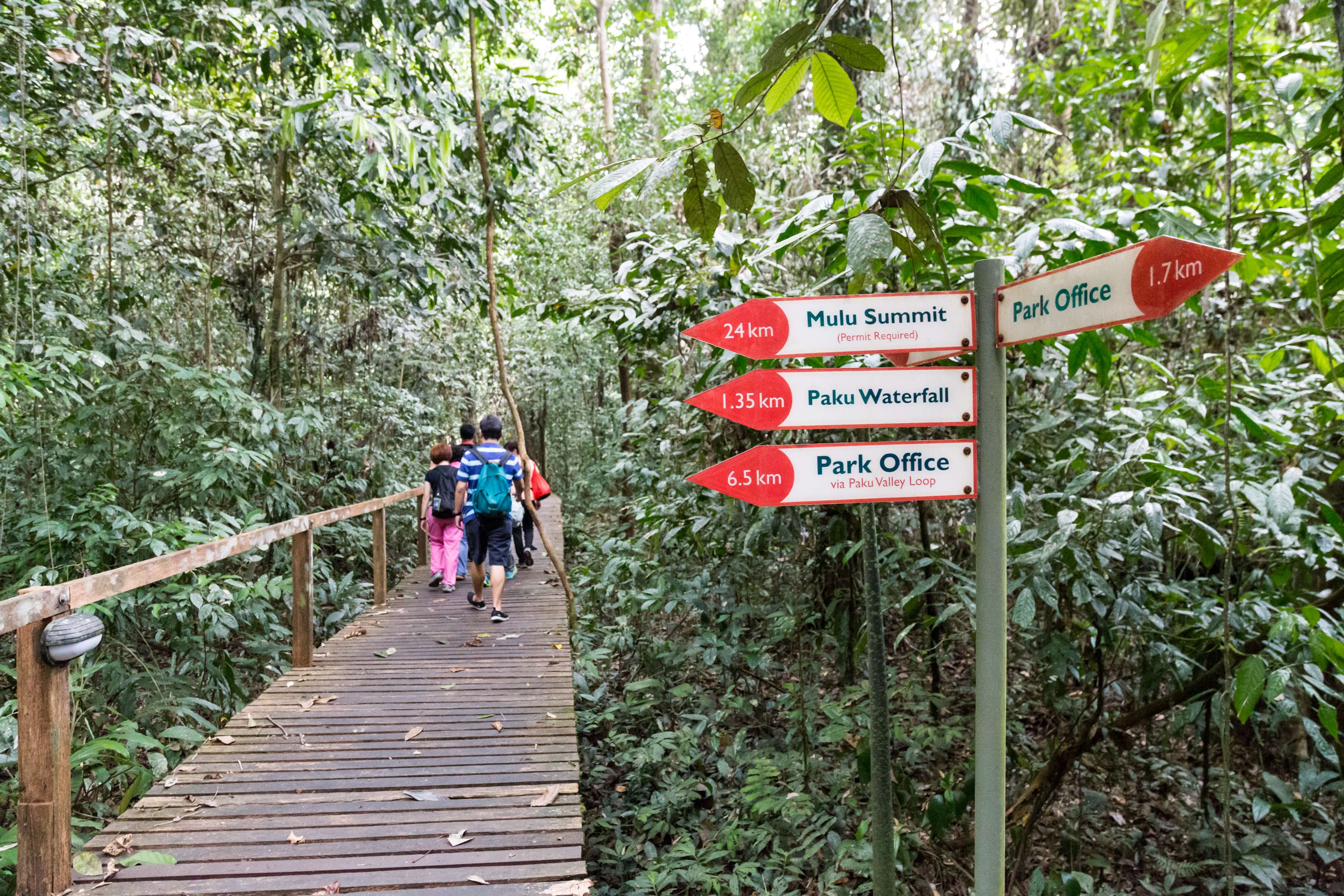 Gunung Mulu National Park