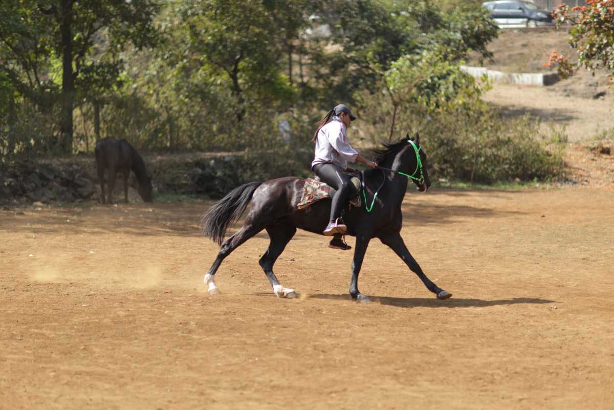 Aundoli Camps Resort