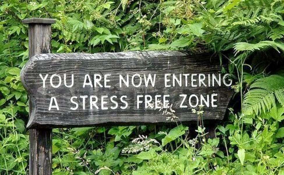 Teakwood Forest Resort