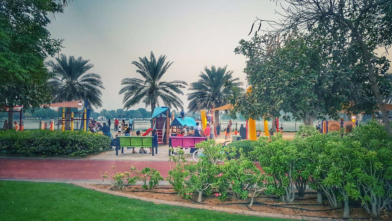 Take a Stroll at Al Barsha Pond Park