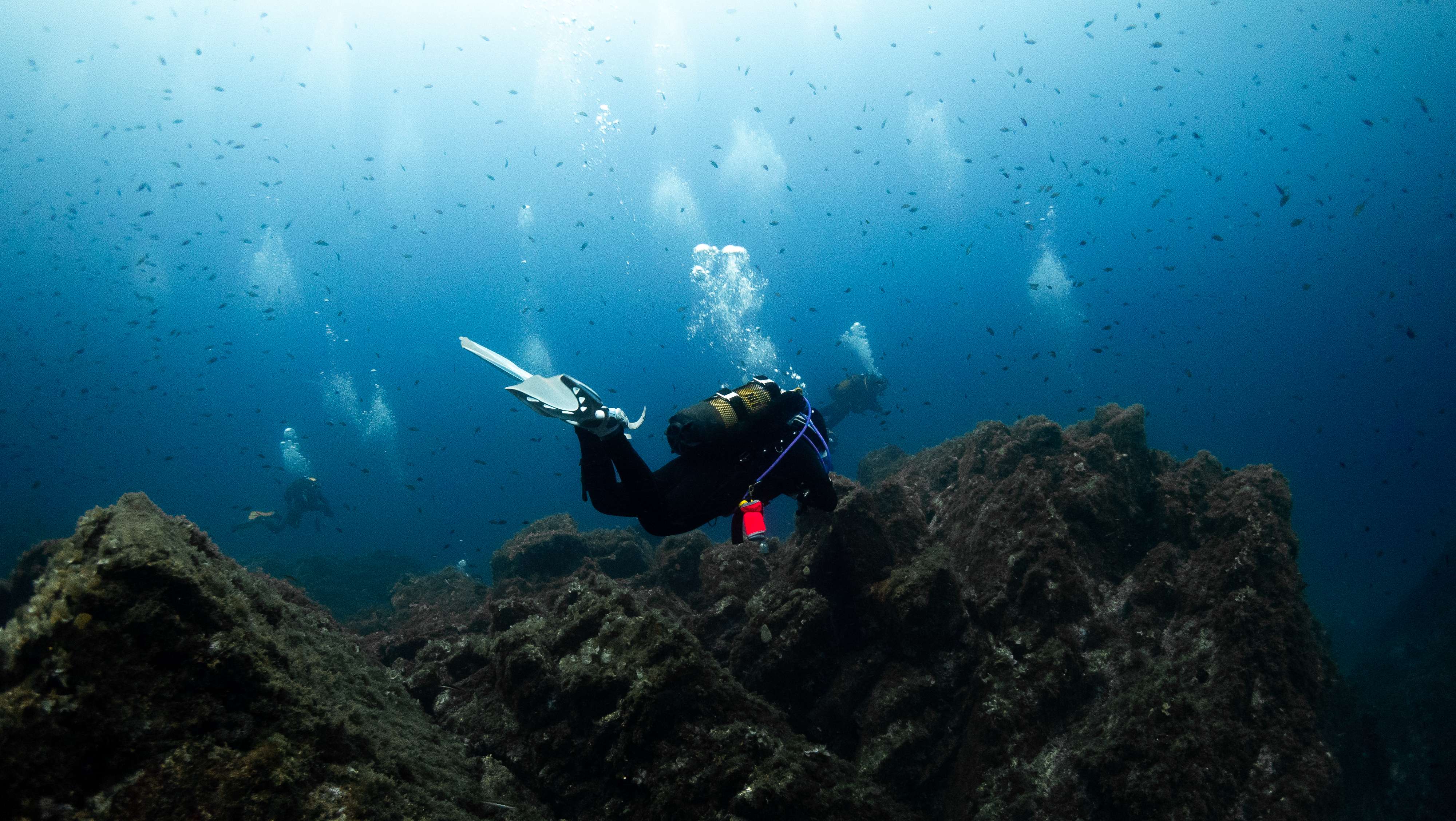Scuba Diving at Costa Brava