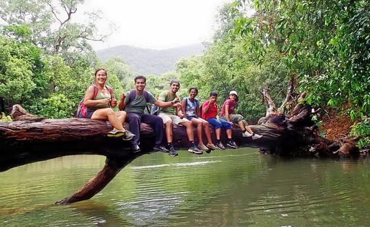 Explore Netravali Wildlife Park