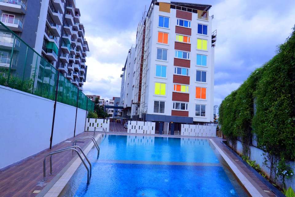 The Zinc By The Fern