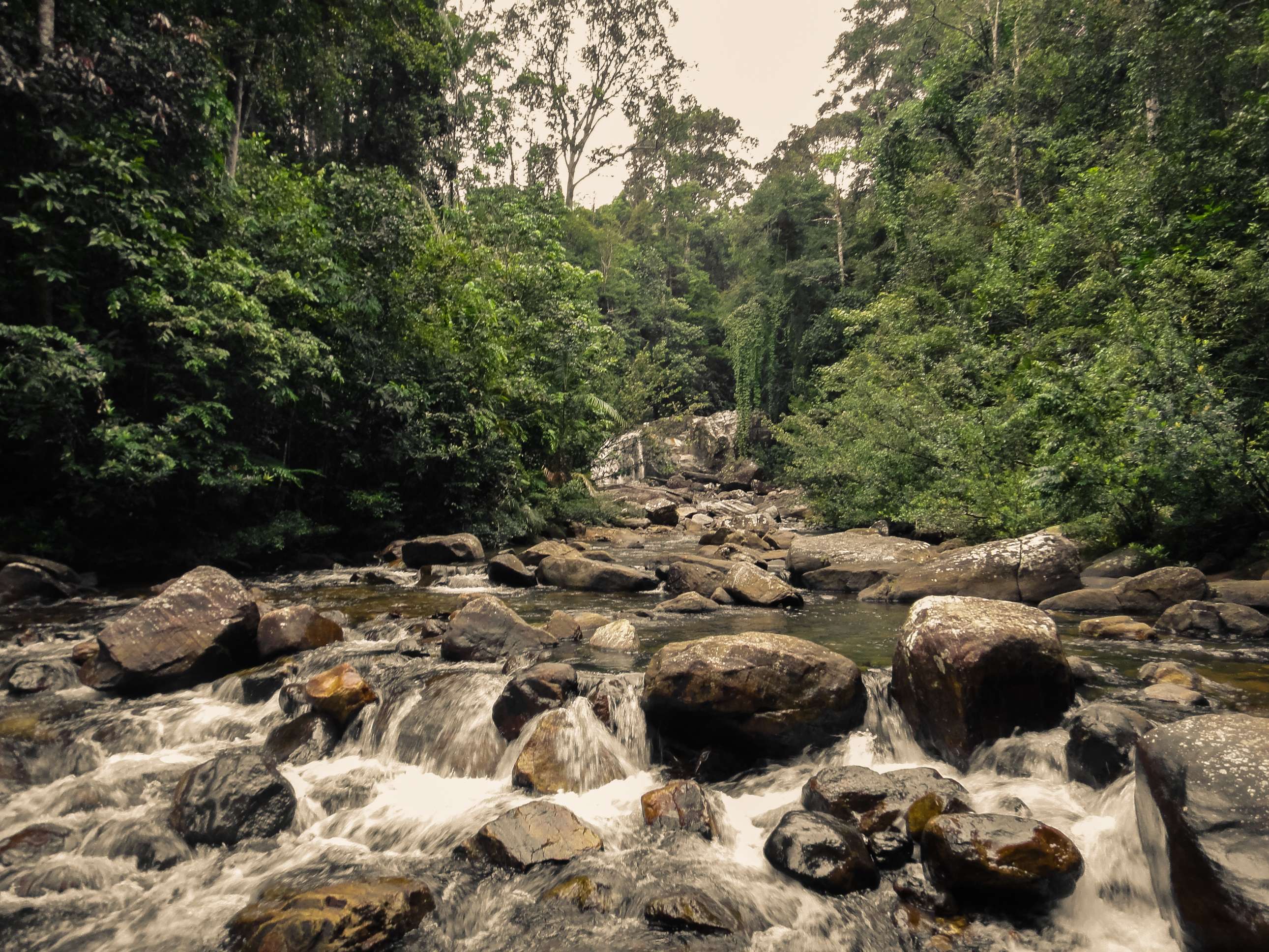 1637652612 shutterstock 738642634