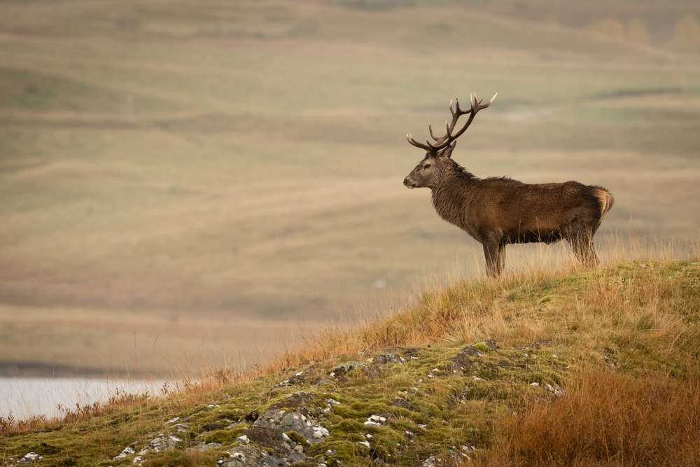 Cairngorms National Park
