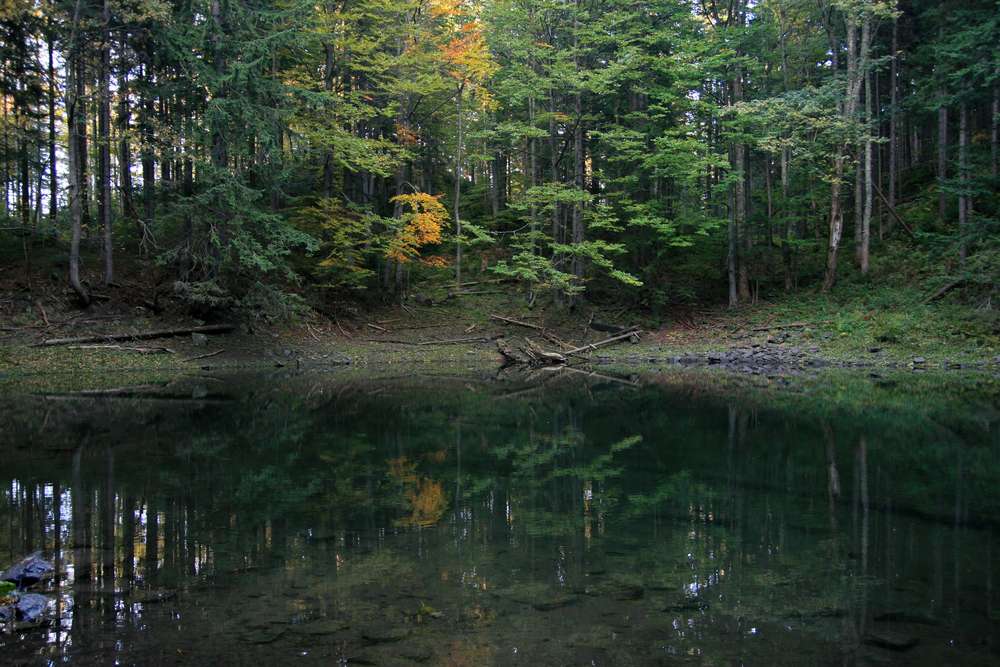 Take a Visit to Babia Gora National Park