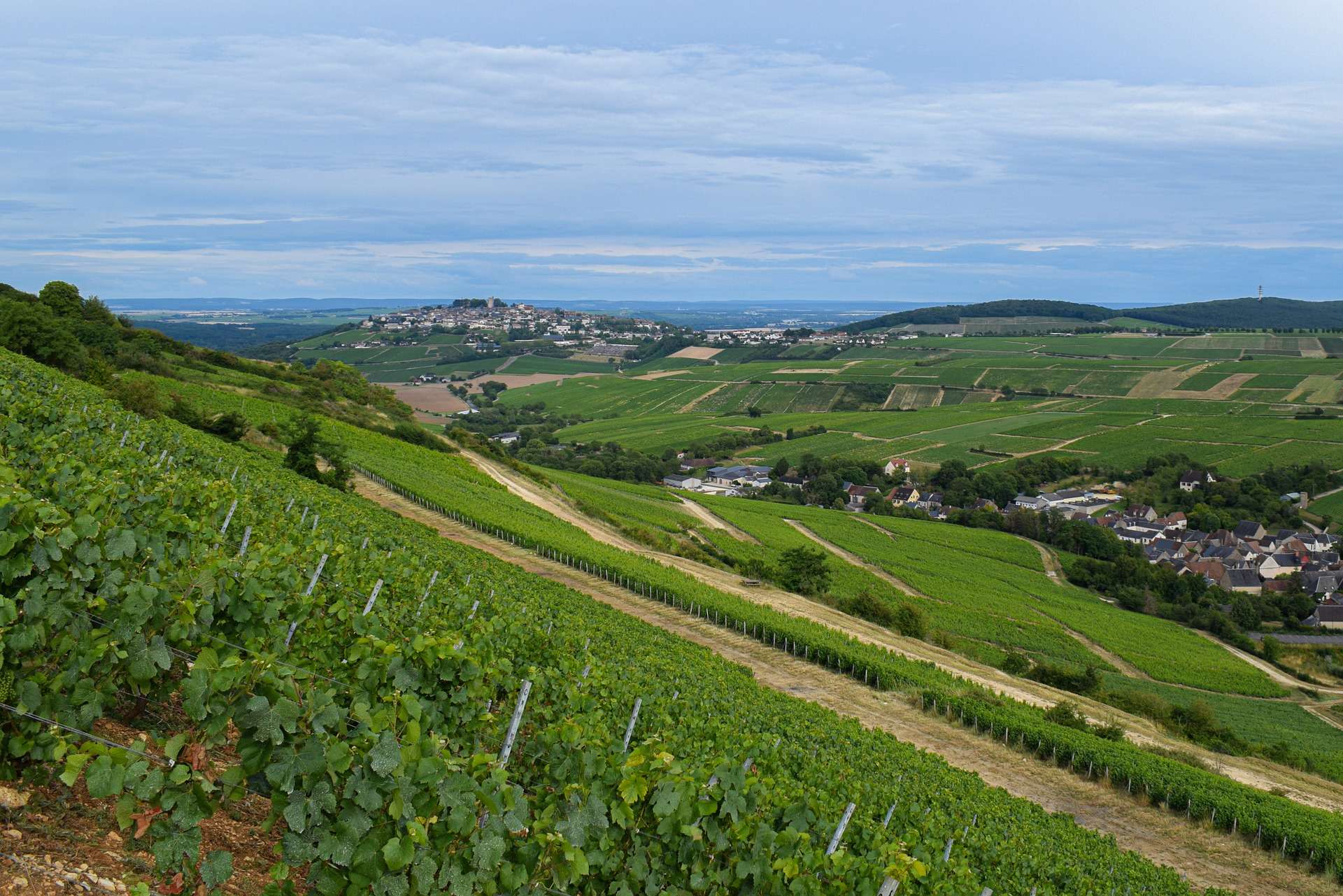 Sancerre