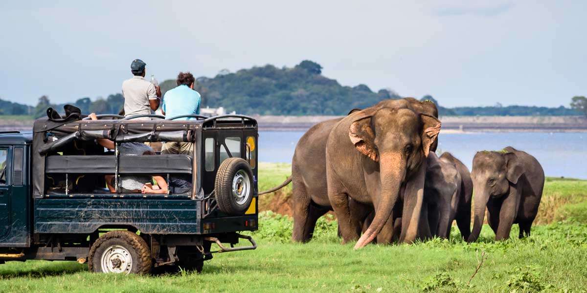 15 Places To Visit in Colombo With Family For Delightful Vacay!