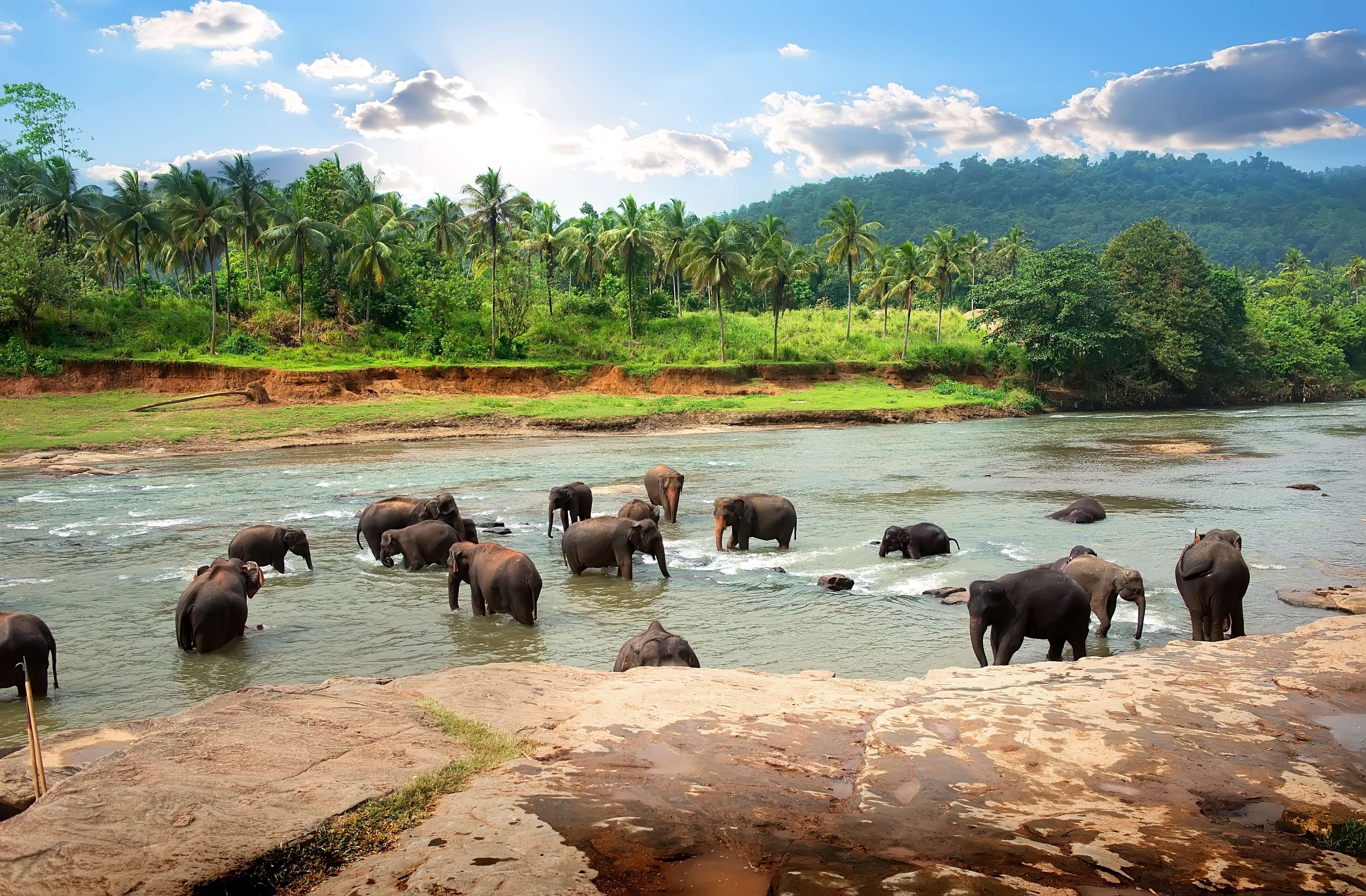 15 National Parks In Sri Lanka | Wildlife Parks in Sri Lanka!