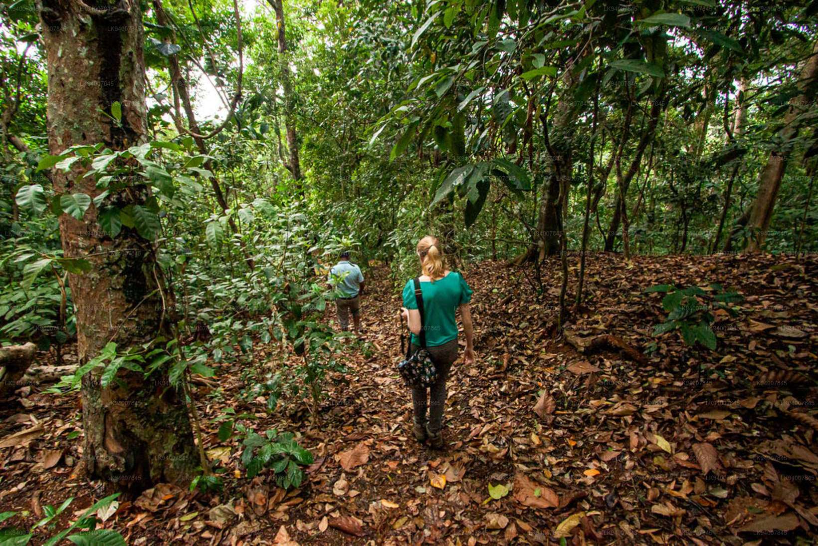 Horagolla National Park