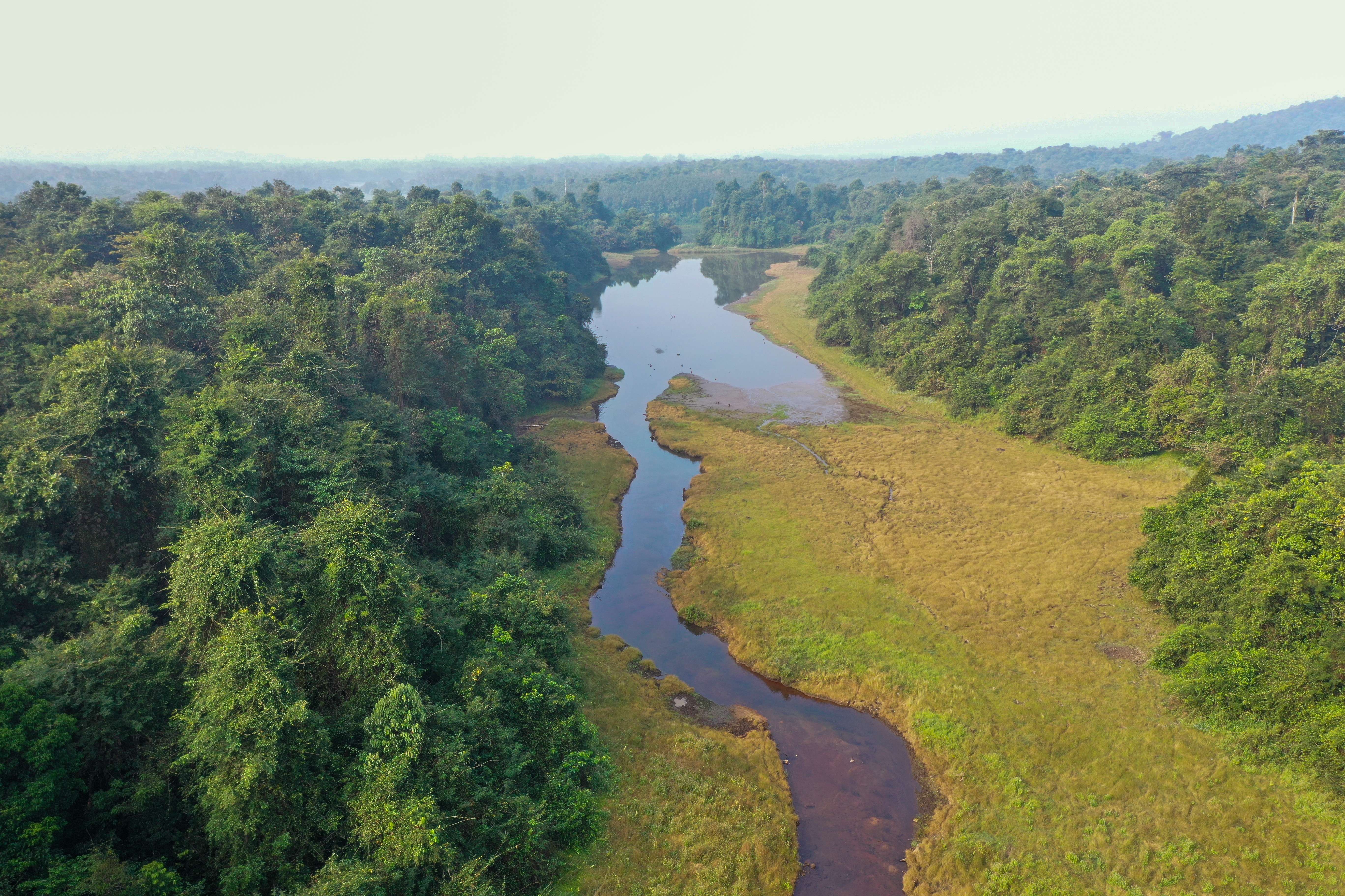Thattekad Bird Sanctuary