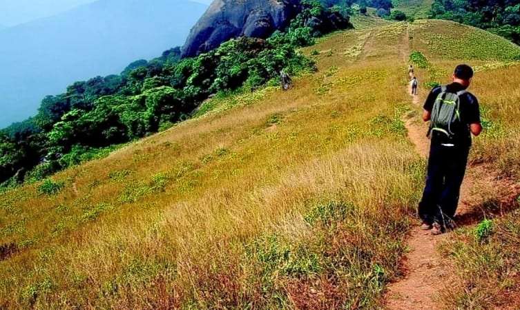 Pakshipathalam - Wayanad trekking