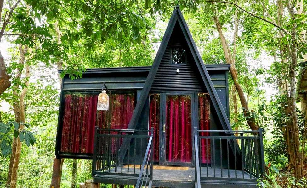 Jungle Beats Resorts