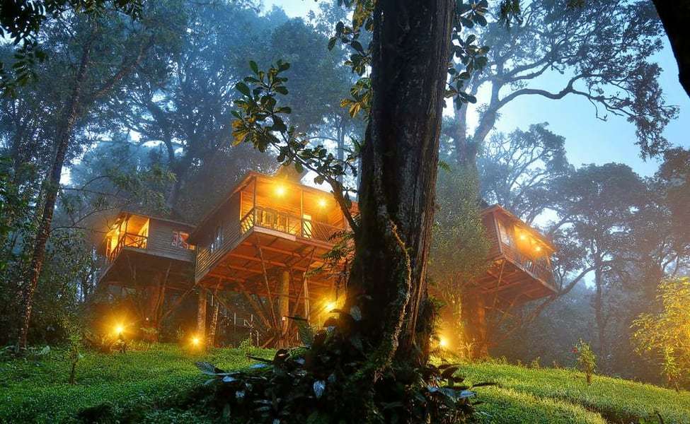 Nature Zone Jungle Resort, Munnar