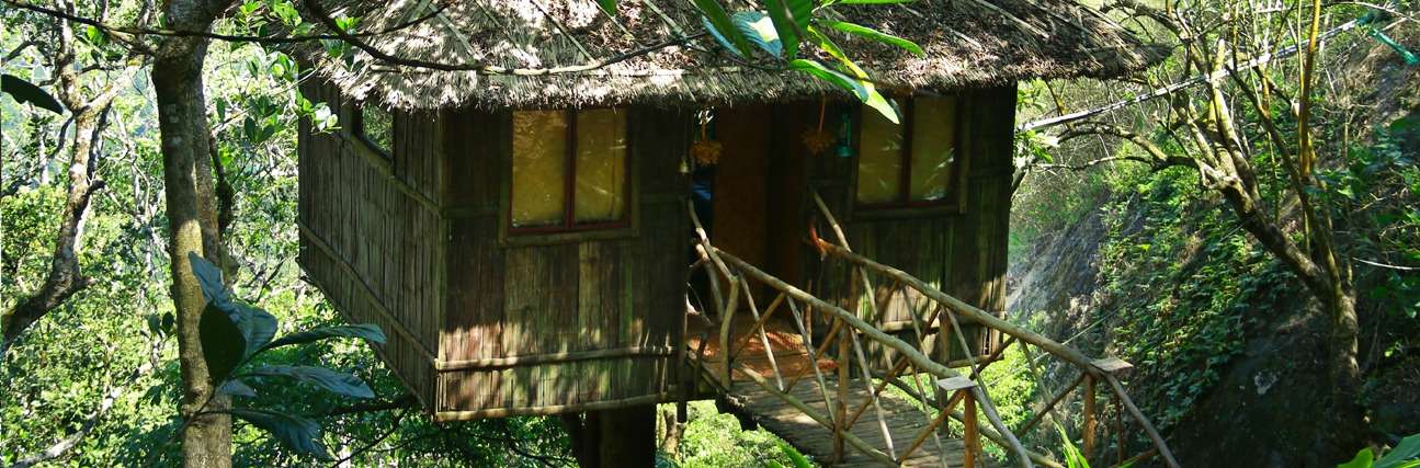 Vanya Tree house Thekkady