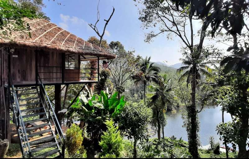 Noah's Nest Tree House