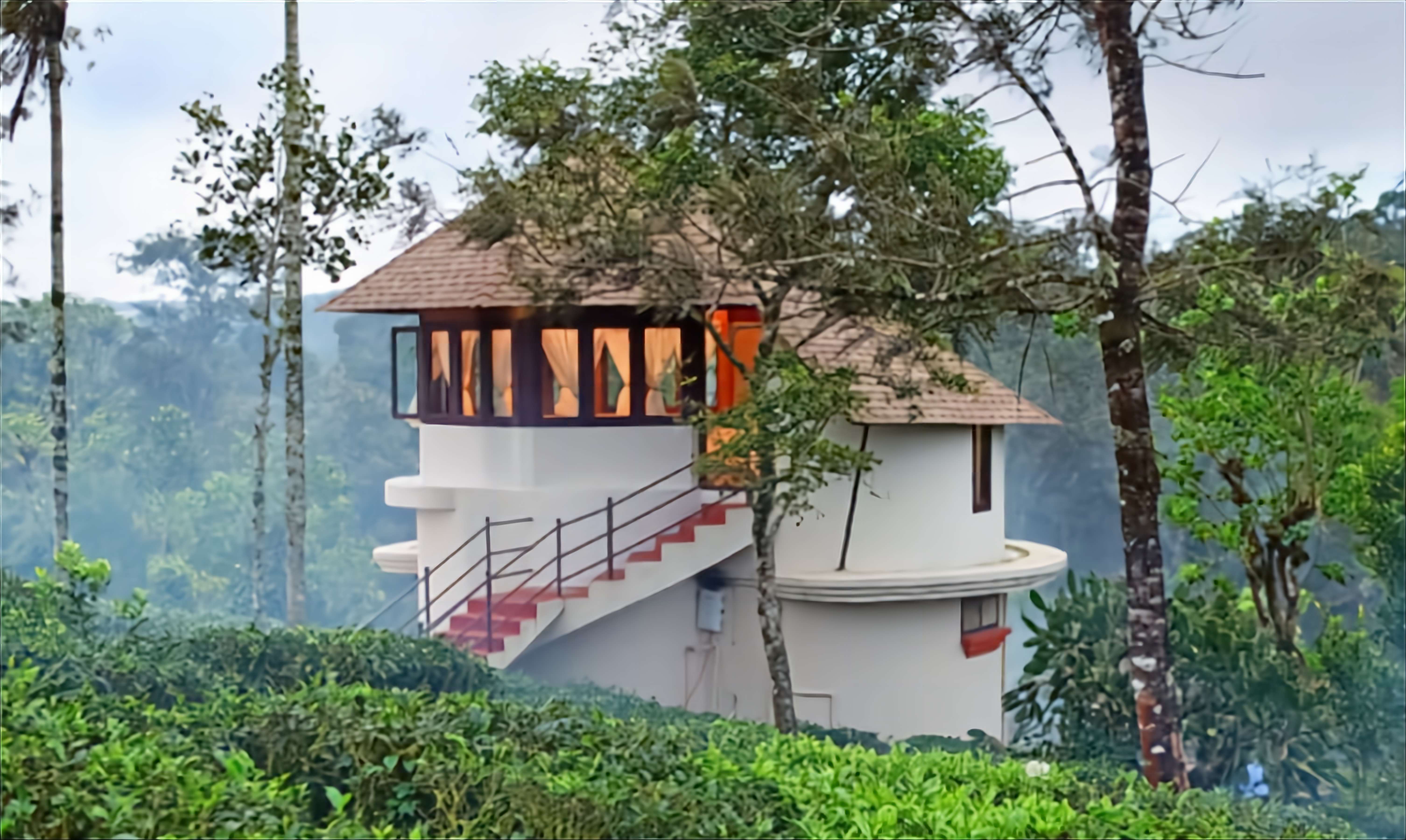 Carmelia Haven Tree House