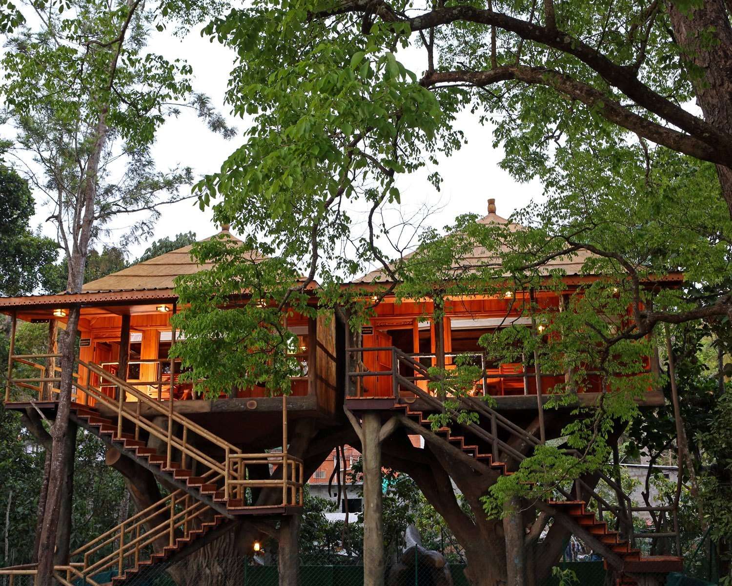 Rangerwood Nature Castle Machan Tree house