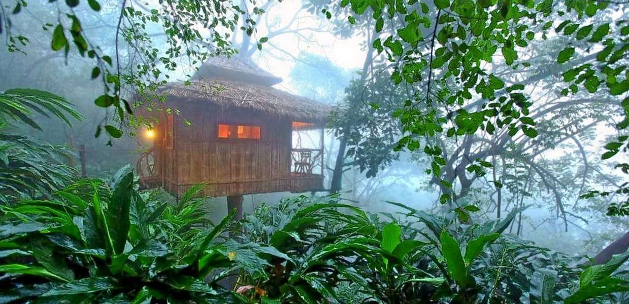 10 Tree Houses in Thekkady: Book Now & Get Upto 50% Off