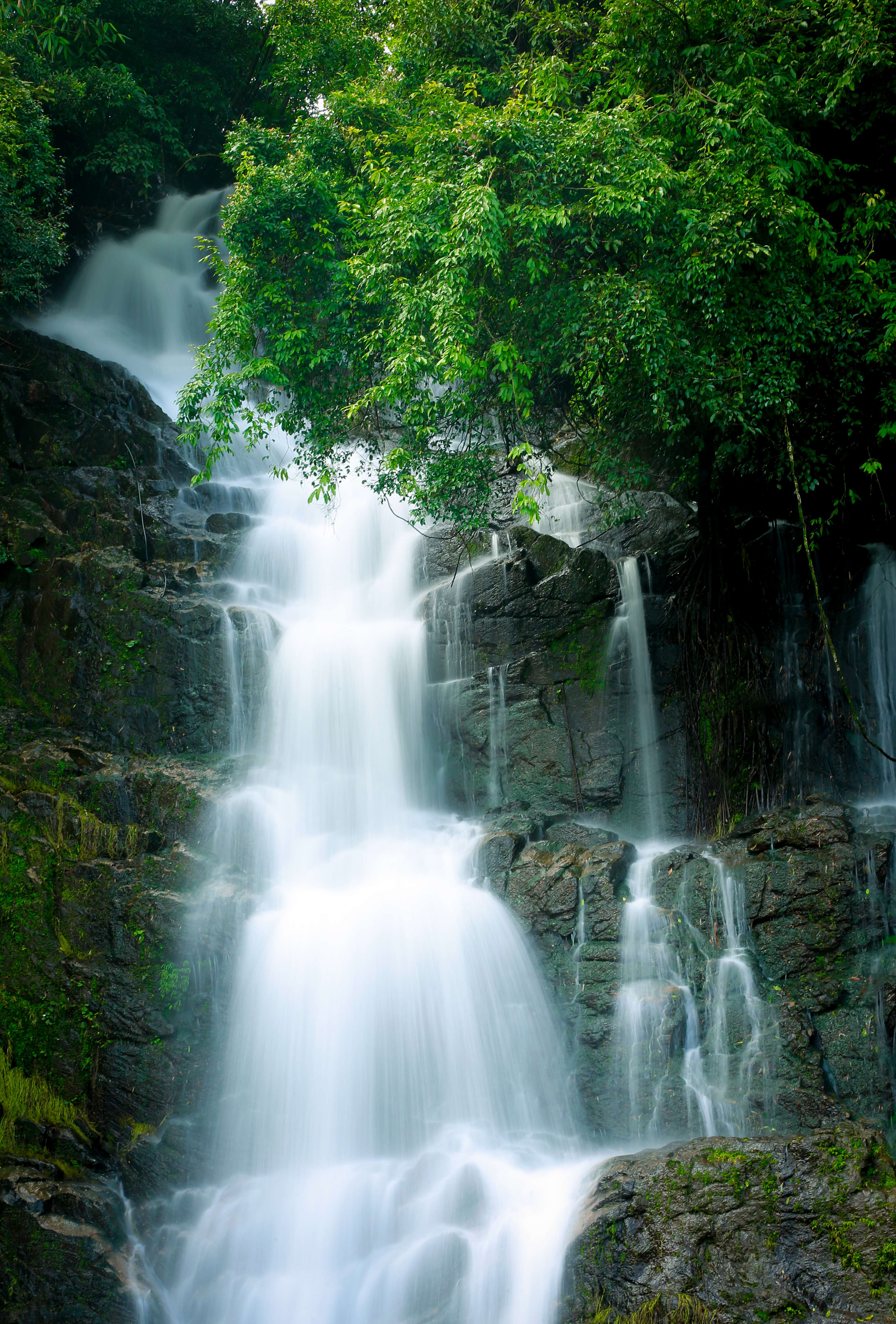 Valanjanganam Waterfalls