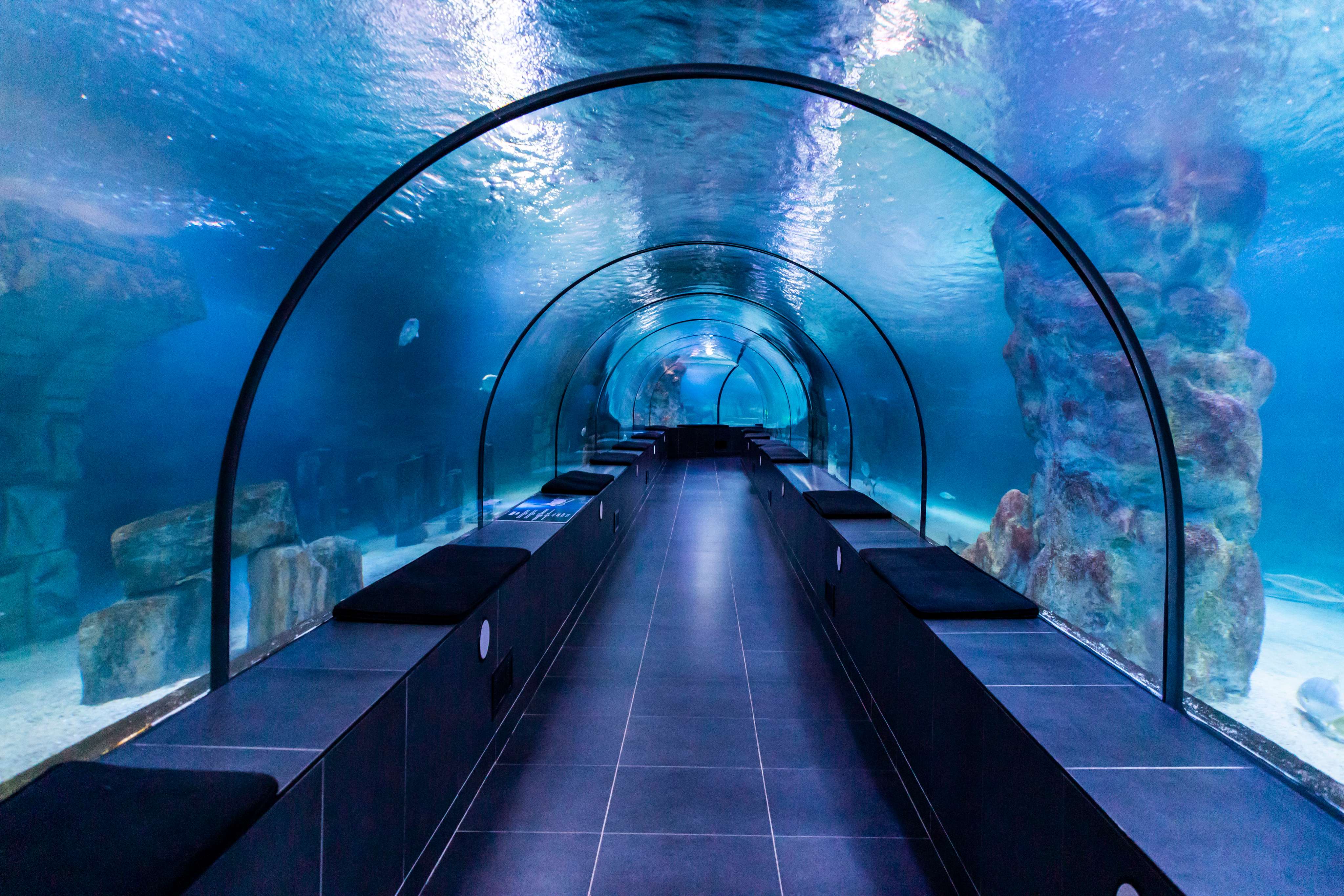 Dubai Aquarium and Underwater Zoo