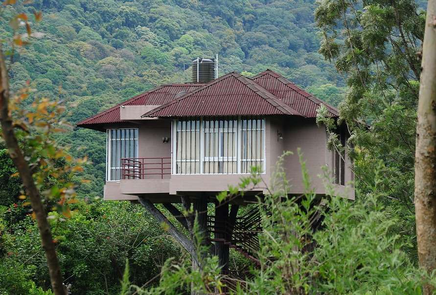Tree Hut Kanthalloor
