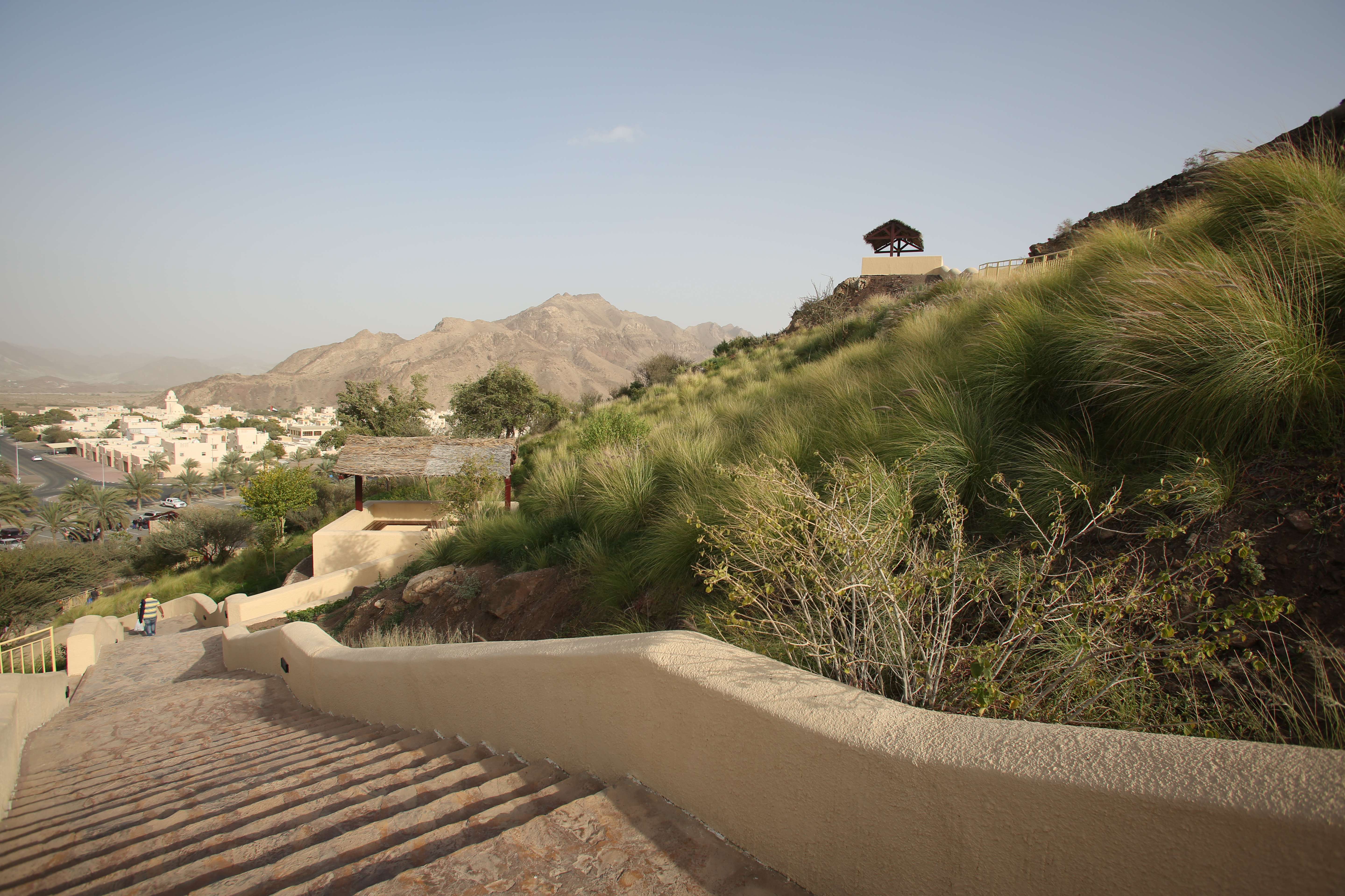 Barbeque With a View at the Hatta Hill Park