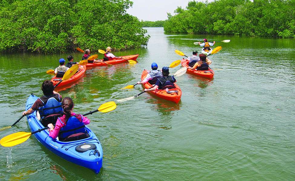 Kayaking at Alleppey Beach