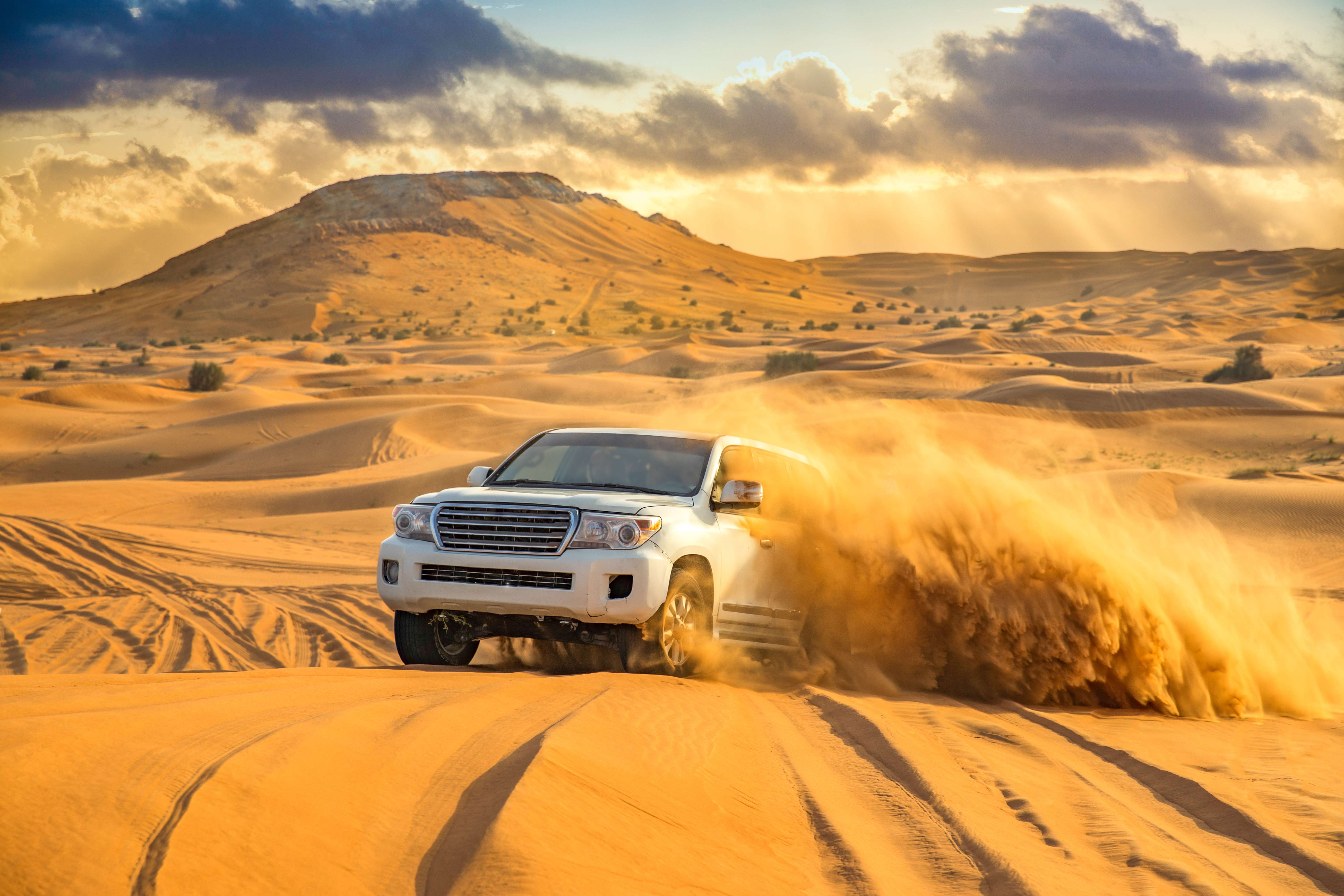 Go on a Desert Safari
